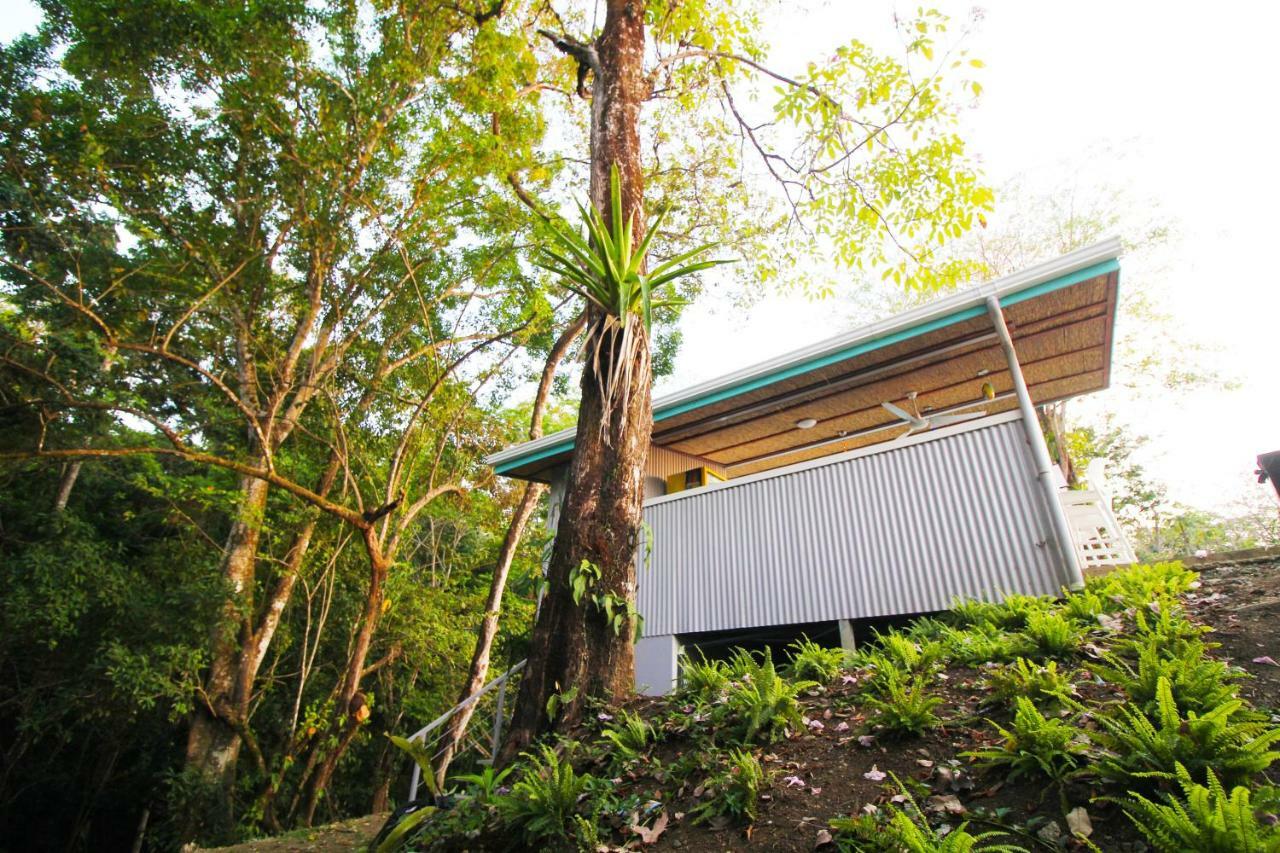 Teva Hotel & Jungle Reserve Manuel Antonio Dış mekan fotoğraf