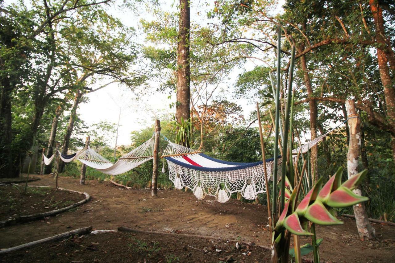 Teva Hotel & Jungle Reserve Manuel Antonio Dış mekan fotoğraf