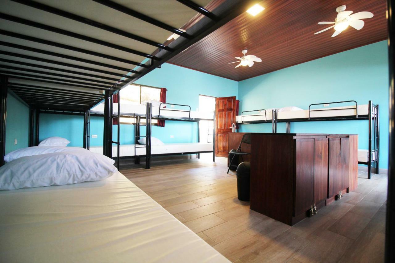 Teva Hotel & Jungle Reserve Manuel Antonio Dış mekan fotoğraf