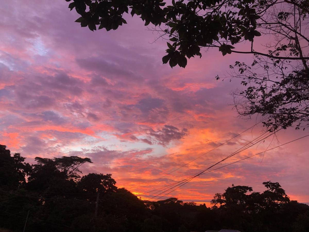 Teva Hotel & Jungle Reserve Manuel Antonio Dış mekan fotoğraf