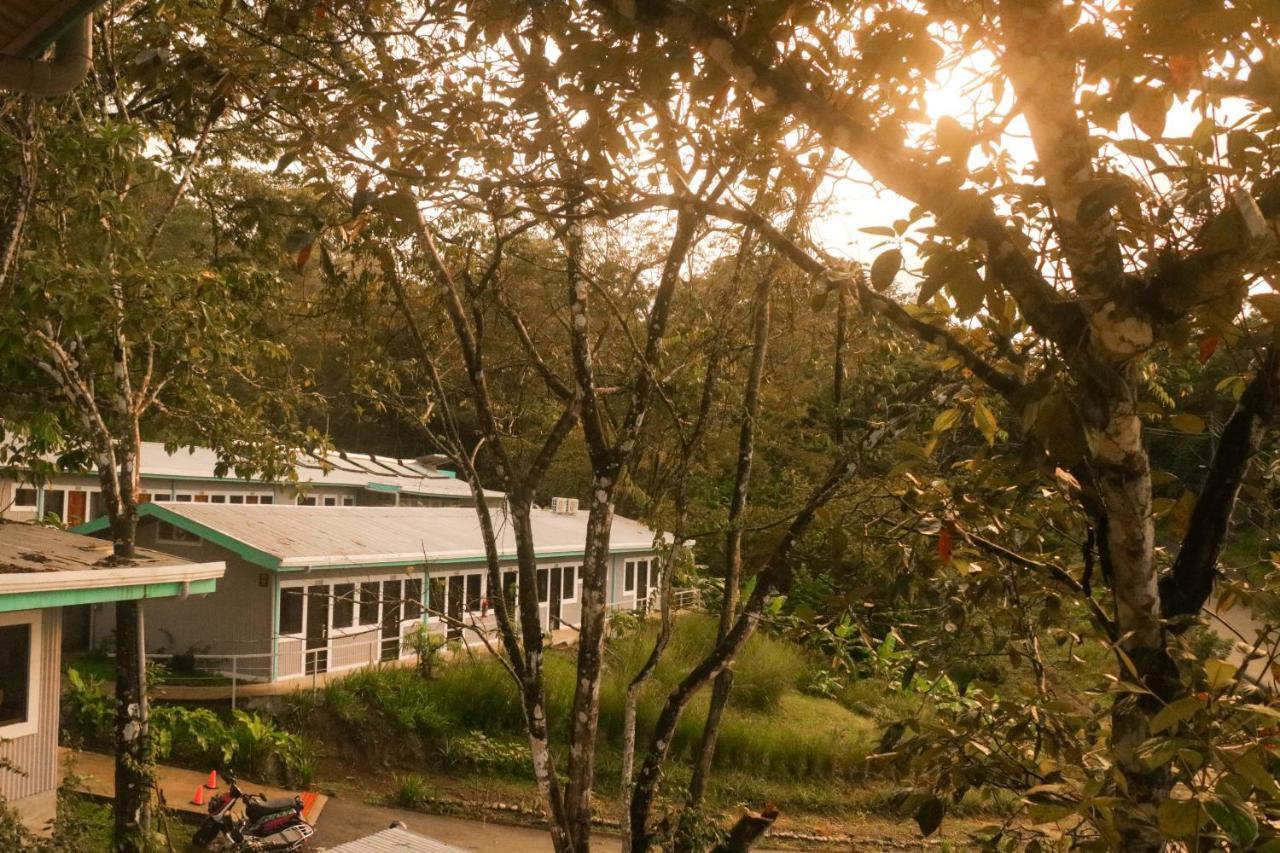 Teva Hotel & Jungle Reserve Manuel Antonio Dış mekan fotoğraf